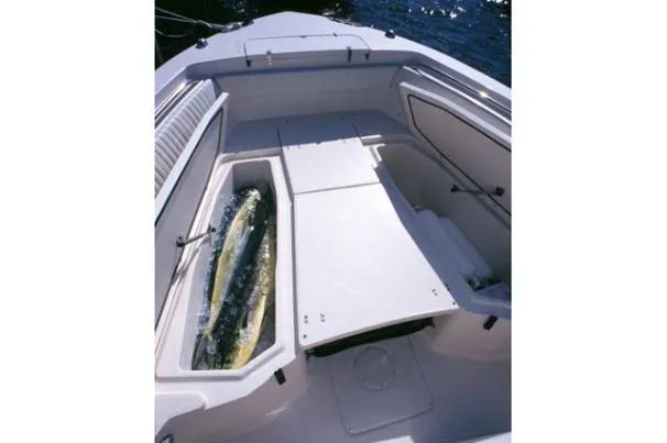 Rising Tide Yacht Photos Pics 