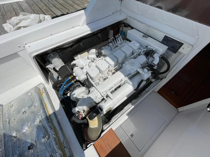 Bushwacker Yacht Photos Pics 