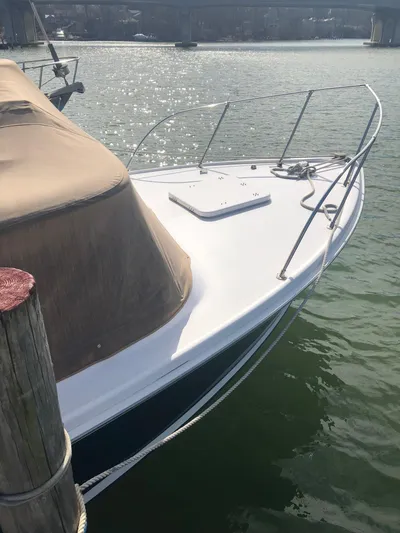 Bushwacker Yacht Photos Pics 