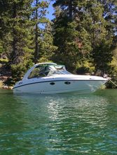 Chaparral 2835 SS Cuddy