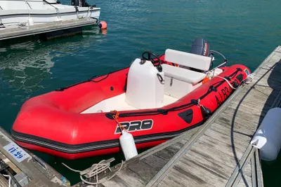 2000 Zodiac Pro II