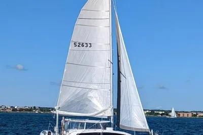 Maine Cat 41
