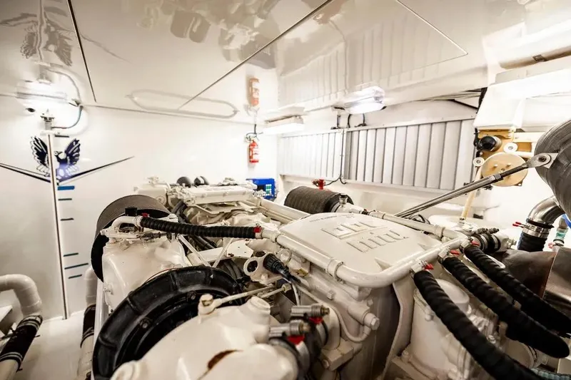 Reel Busy Yacht Photos Pics 