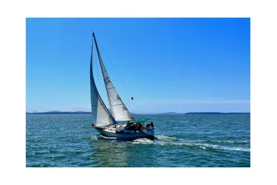 Tartan 37