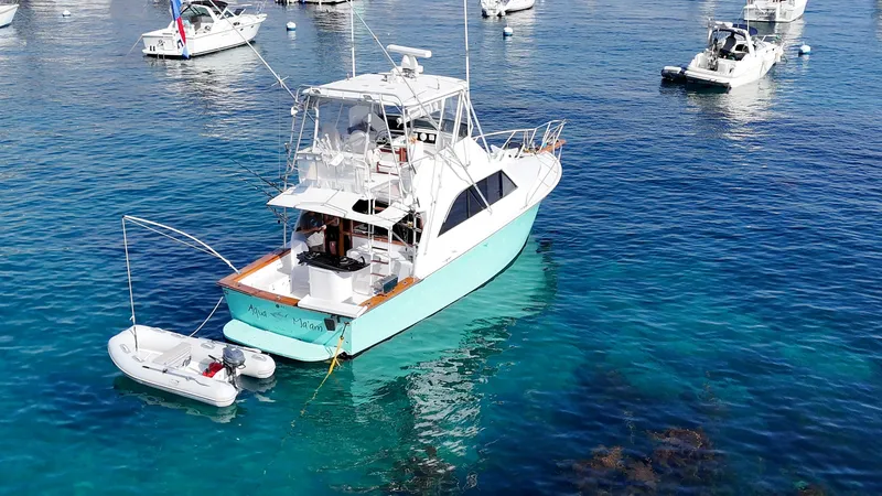 Aqua Ma'am Yacht Photos Pics 1986 Ocean Yachts 38 Super Sport anchored in clear blue water with other boats.