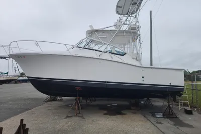 Luhrs 30 Open