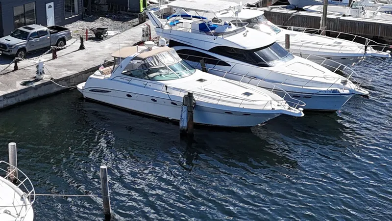 Pirates Girl Yacht Photos Pics 