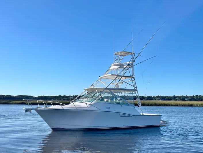 Scapecat Yacht Photos Pics 