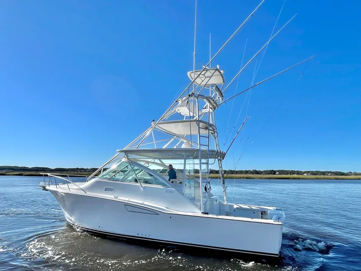 Scapecat Yacht Photos Pics 