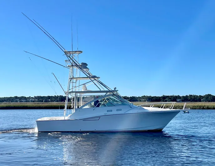 Scapecat Yacht Photos Pics 