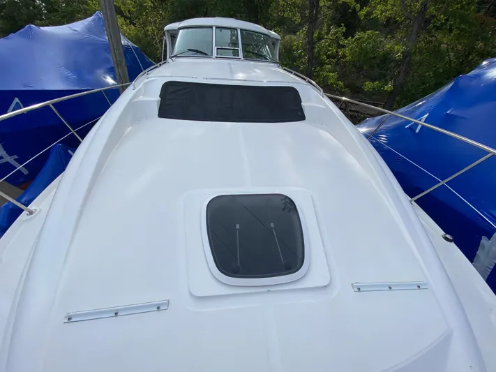 Way Too Much Fun Yacht Photos Pics 