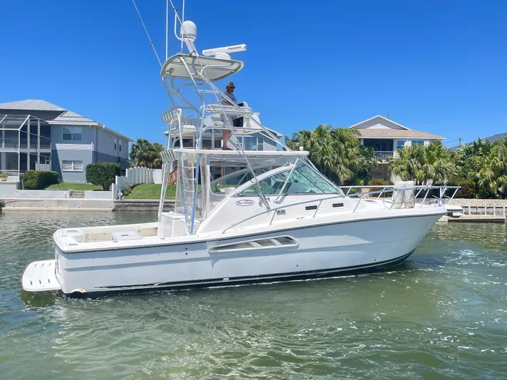 Busted Assets Yacht Photos Pics 