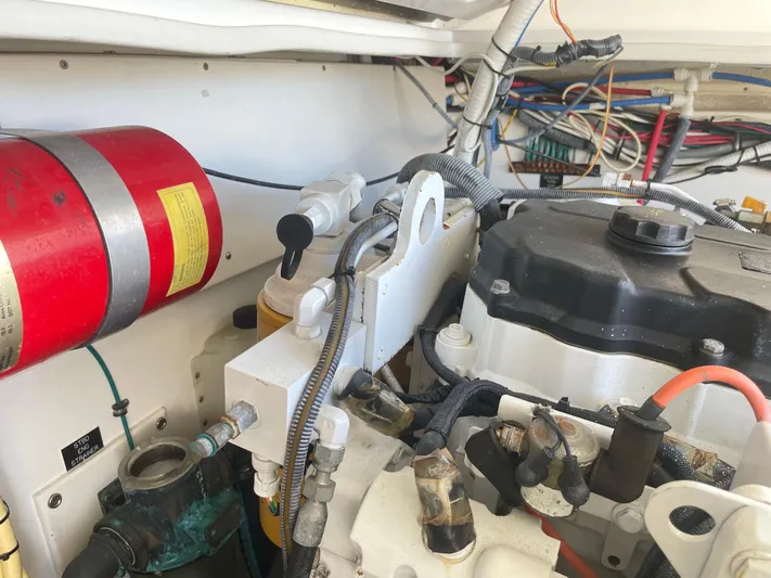 Busted Assets Yacht Photos Pics 