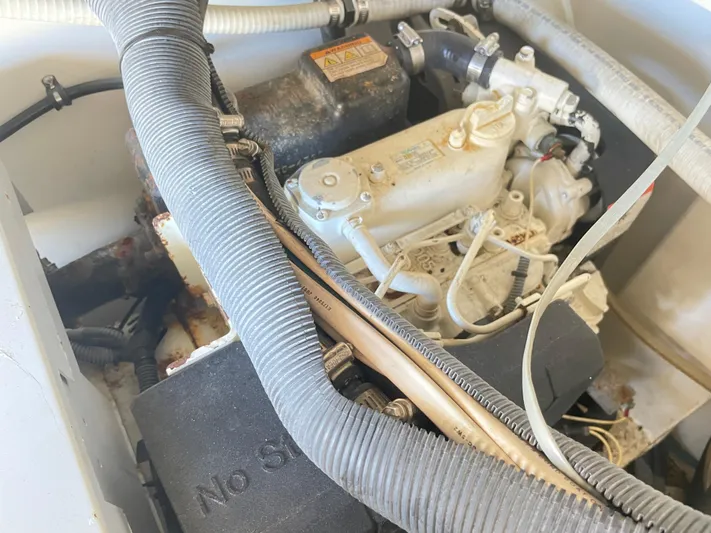 Busted Assets Yacht Photos Pics 