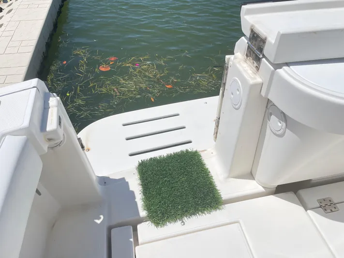 Busted Assets Yacht Photos Pics 