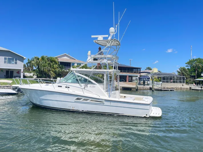 Busted Assets Yacht Photos Pics 