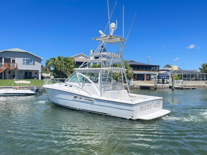 Busted Assets Yacht Photos Pics 