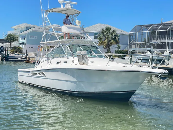 Busted Assets Yacht Photos Pics 