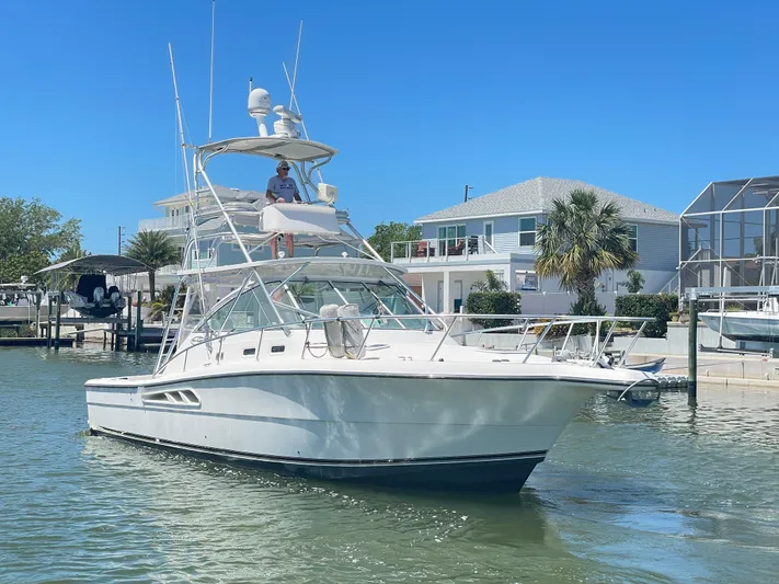 Busted Assets Yacht Photos Pics 