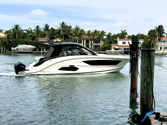 37 Sea Ray Sundancer Ob 2023 Yacht Photos Pics 2023 Sea Ray Sundancer 370 OB cruising in a scenic waterfront setting with palm trees.