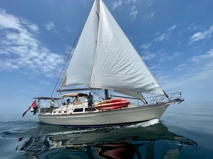  Yacht Photos Pics 2008 Island Packet 465 sailboat cruising on calm ocean under clear blue sky.