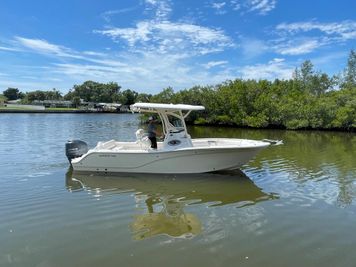 Sea Fox 249 Avenger