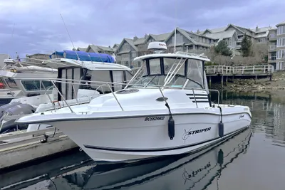 Seaswirl Striper Striper 2601