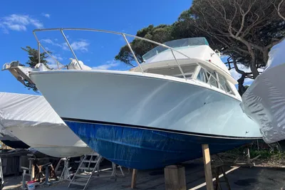 1980 Bertram 28 Sport Fisherman