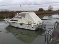 1983 Aquaviva seaborn