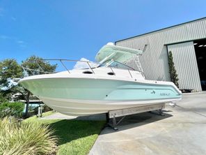 Robalo R305 Walkaround