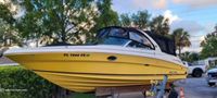 2004 Sea Ray 290 Select EX