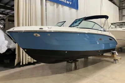 Sea Ray SDX 250