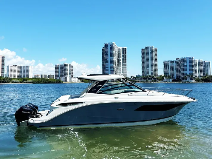 Grateful! Yacht Photos Pics 2019 Sea Ray Sundancer 320 Outboard on water with city skyline in background.