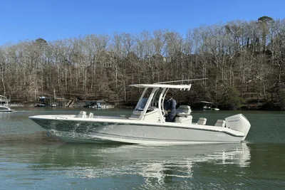 Boston Whaler 250 Dauntless