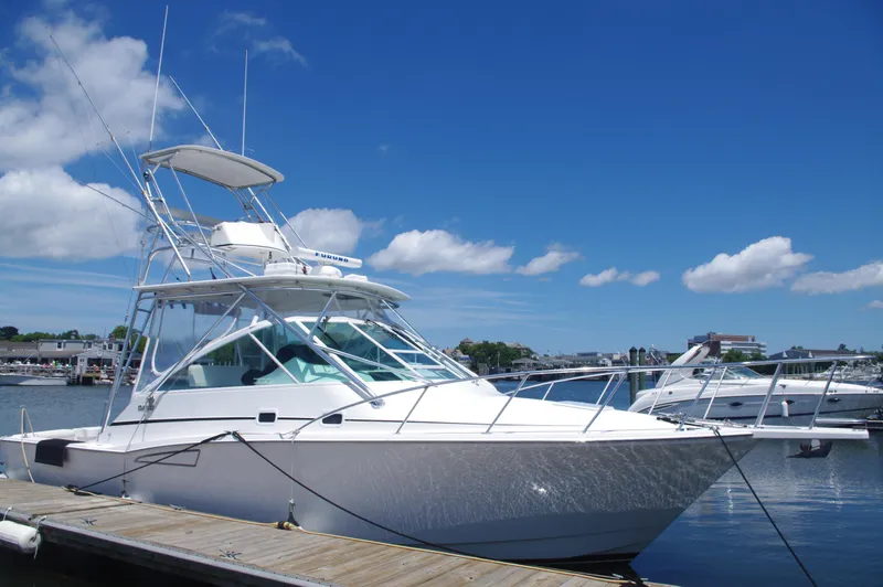  Yacht Photos Pics READY TO GO