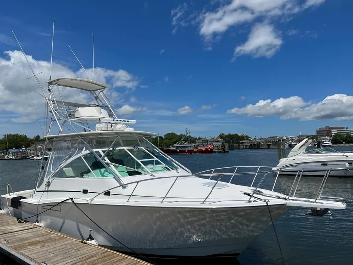  Yacht Photos Pics READY TO GO