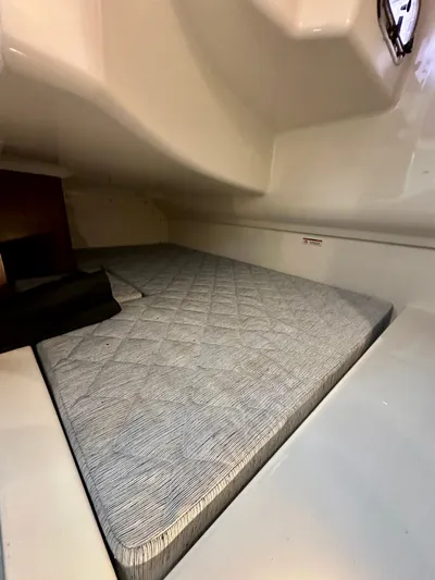 Breeezy Yacht Photos Pics Interior of 2020 Pursuit DC 365 Dual Console with cushioned sleeping area.