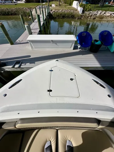 Breeezy Yacht Photos Pics Pursuit DC 365 Dual Console 2020 at dock with accessories.