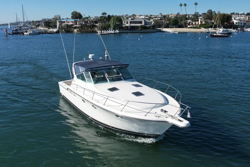 Splinter Yacht Photos Pics 