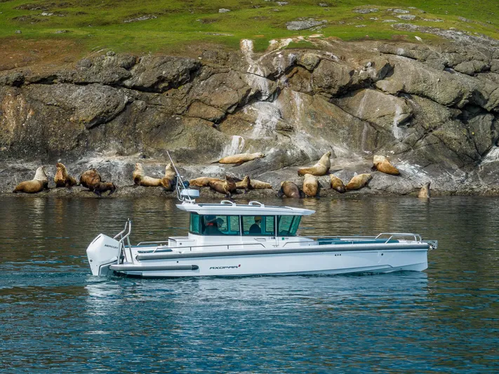 Windermere Yacht Photos Pics Axopar 28 boat cruising near rocky shore with sea lions, 2022 model.