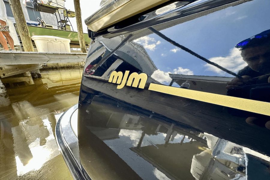 2009 MJM 29z Express