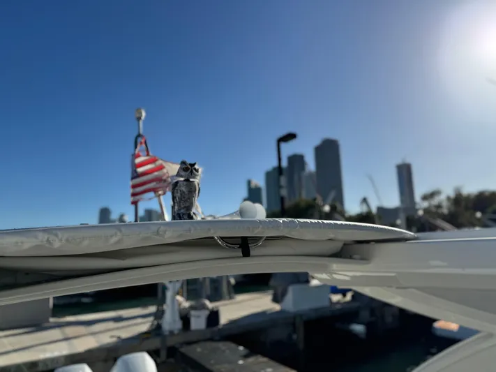 Sunny No Showers Yacht Photos Pics 2023 Formula 350 Crossover Bowrider OB with city skyline and American flag.
