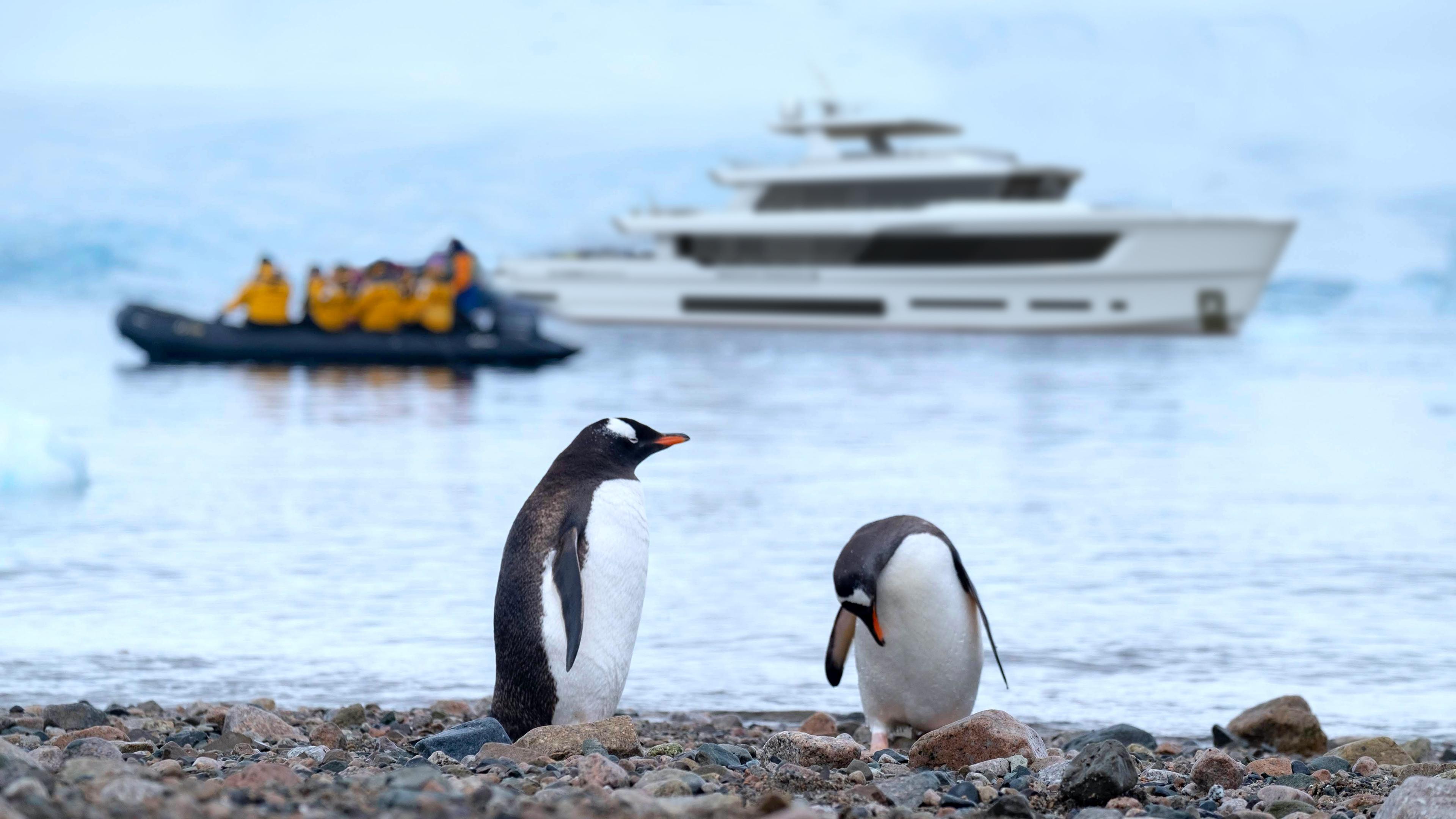 Penguins on rocky shore with 2023 Explorer Ice Class yacht and boat in background.
