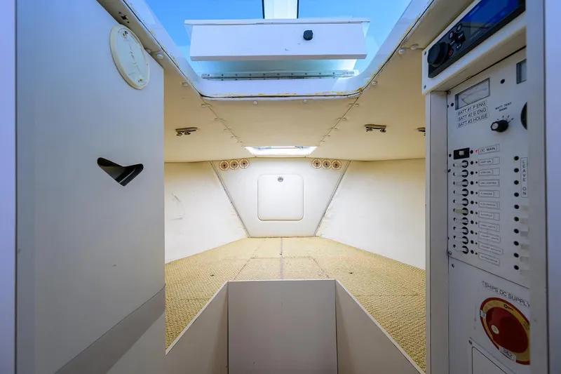 Mr. Toad Yacht Photos Pics Bertram 31 Mr. Toad - Cabin, Forward Berth