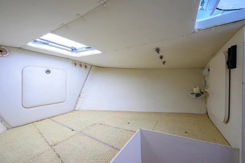 Mr. Toad Yacht Photos Pics Bertram 31 Mr. Toad -