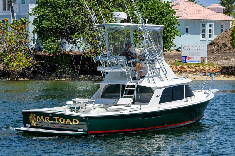 Mr. Toad Yacht Photos Pics Bertram 31 Mr. Toad -