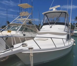 Blackfin Convertible