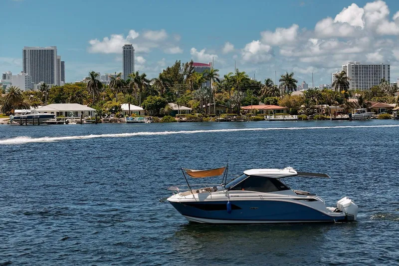 Lady Iryna Yacht Photos Pics 2022 Sea Ray Sundancer 320 Outboard cruising on a sunny day with city skyline backdrop.