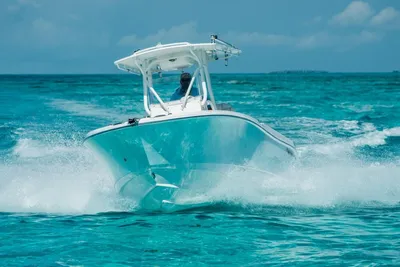 Edgewater 245CC