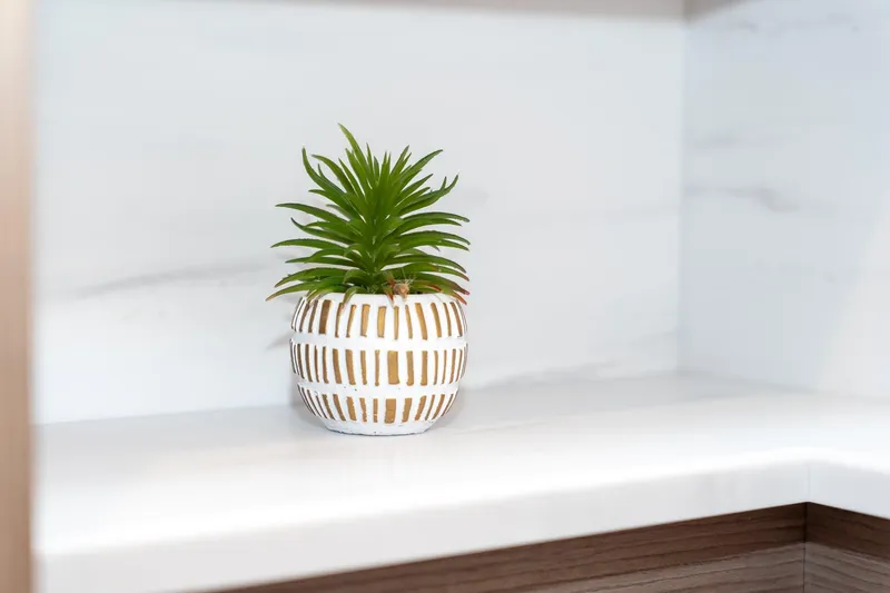Jewel Yacht Photos Pics Small potted plant on a white shelf, modern minimalist decor.